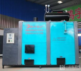 食用菌专用蒸汽环保锅炉 绿色高效，助力食用菌产业可持续发展